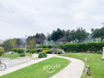 Imagen 26