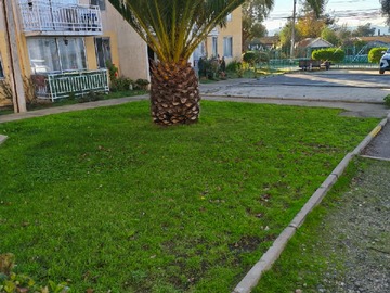 Imagen 7