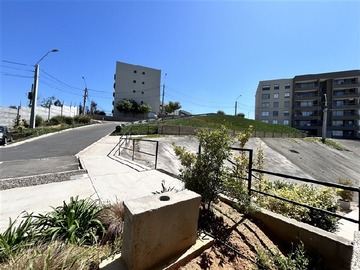 Imagen 20