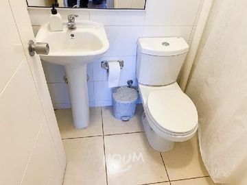 Imagen 19