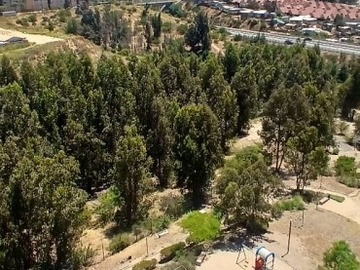 Arriendo Mensual / Departamento / Quilpué