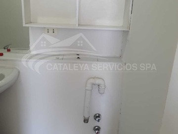 Imagen 6