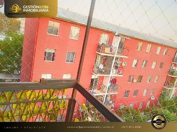 Imagen 5