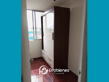 Imagen 5