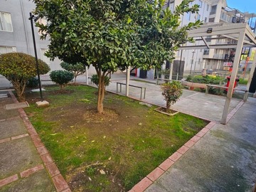 Imagen 11