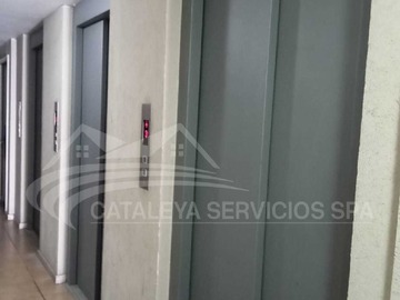 Imagen 5