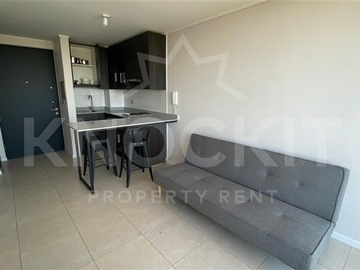 Arriendo Mensual / Departamento / Quinta Normal
