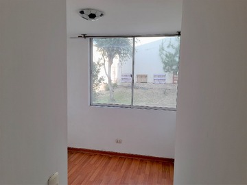 Imagen 7