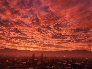 Imagen 22