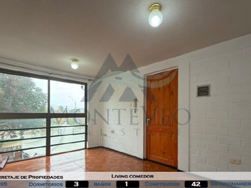 Imagen 7