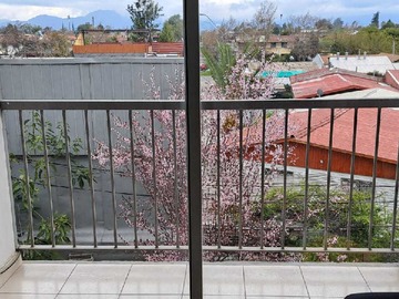 Imagen 7