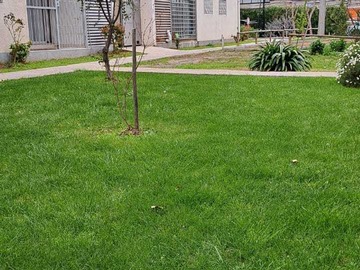 Arriendo Mensual / Departamento / Rancagua