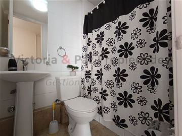 Imagen 12