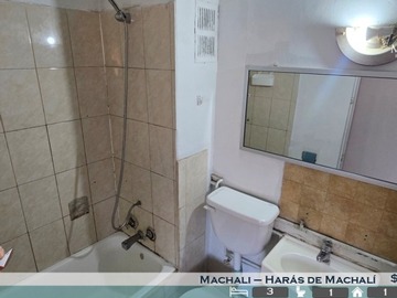 Imagen 13