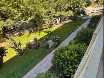 Imagen 13