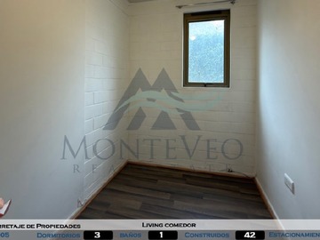Imagen 13