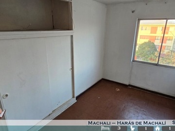 Imagen 7