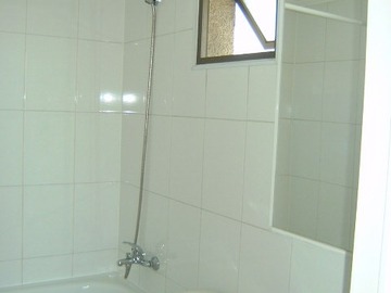 Imagen 11