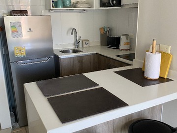 Arriendo Mensual / Departamento / Recoleta