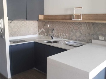 Arriendo Mensual / Departamento / Recoleta