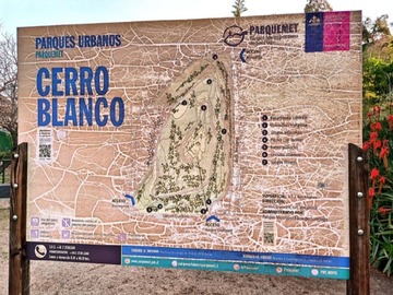 Imagen 19