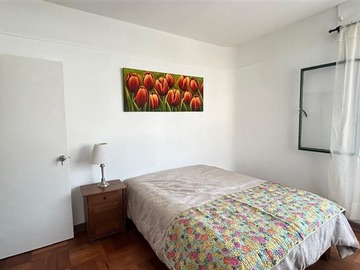 Imagen 12