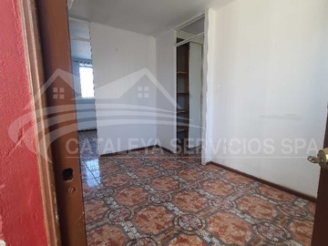 Imagen 11