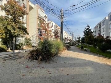 Imagen 21