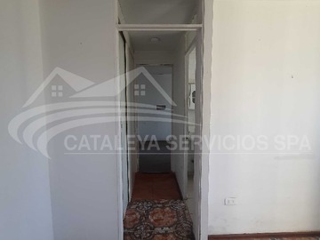 Imagen 7
