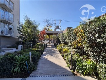 Imagen 9