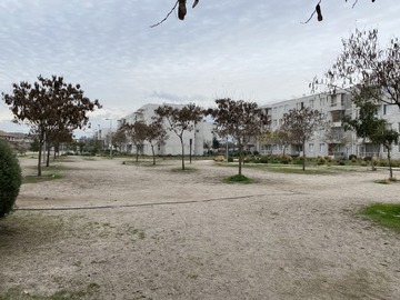 Imagen 15