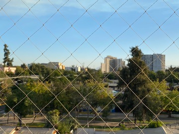 Imagen 6