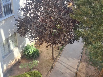 Arriendo Mensual / Departamento / San Bernardo