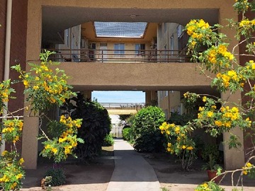 Arriendo Mensual / Departamento / San Bernardo