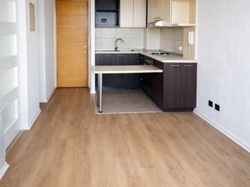 Arriendo Mensual / Departamento / San Joaquín