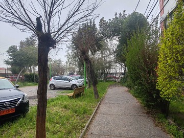 Imagen 11
