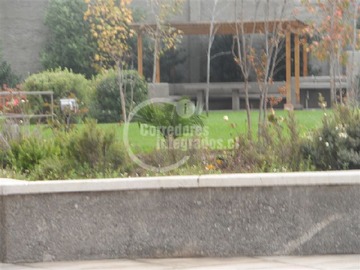 Imagen 10