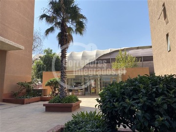 Arriendo Mensual / Departamento / San Joaquín