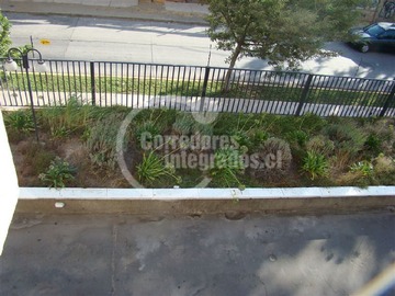 Imagen 11