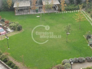 Imagen 11