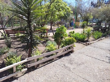 Imagen 10