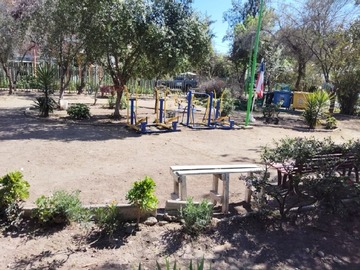 Imagen 5