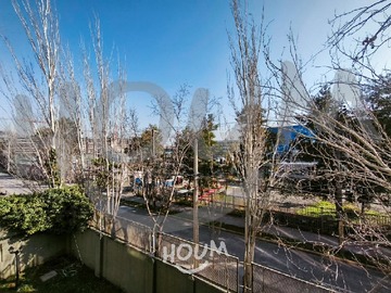 Imagen 5