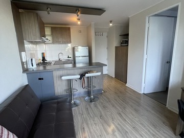 Arriendo Mensual / Departamento / San Joaquín