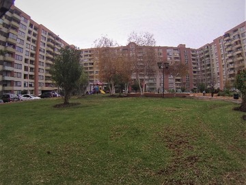 Imagen 12