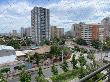 Imagen 11