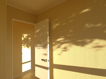 Imagen 6