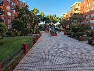 Imagen 19