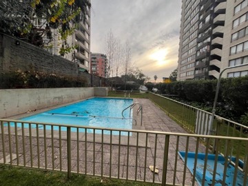 Imagen 20