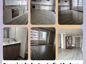 Arriendo Mensual / Departamento / San Miguel